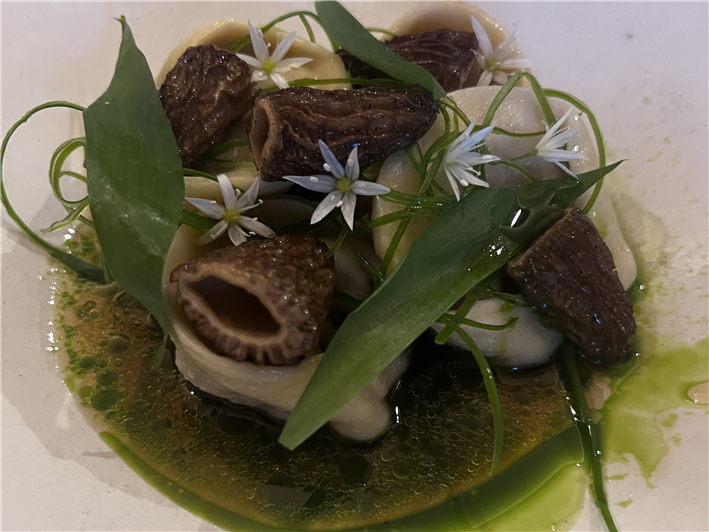 dumplings and morels